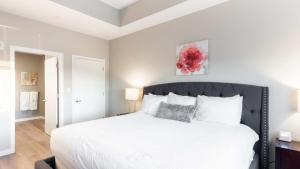 Luxury Apartment In Harbor Point