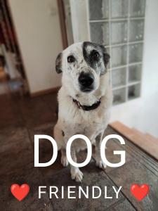 Le Doux Refuge de Bouillon