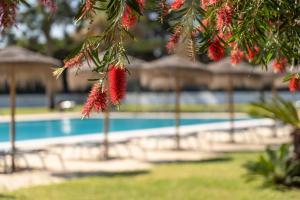 VILA PARK Nature & Business Hotel