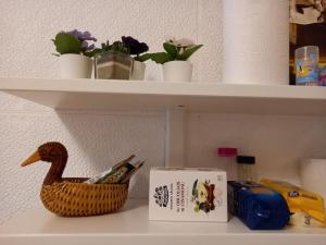 Tiny center G studio