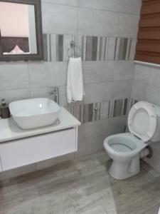 AMANI PALMS GUEST HOUSE