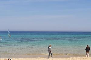 Uliveus - Villa Duna fronte mare