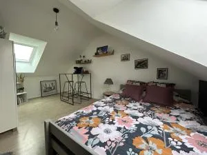 CHAMBRE PRIVÉE dans une maison - Sannois