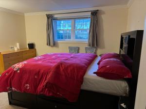 大卧室1.8米宽大床