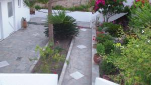 Creta Vassakis Studios