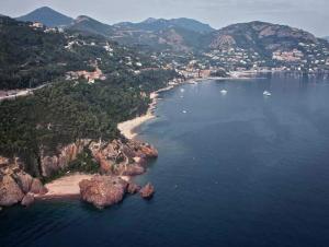 Appartements 5 min des plages 2 pieces jardin Theoule sur Mer : photos des chambres