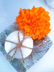 phoenix bed and breakfast 1