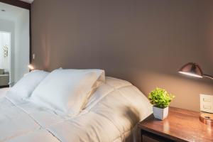 Puerta Condesa, Rooms & Studios