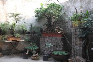 Ranger - Bandra West