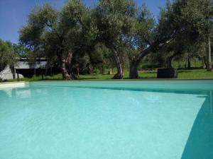 La Collina Con Gli Ulivi