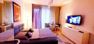 HomeComfort Apartament Gulia