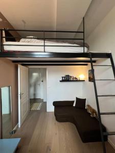 Appartements Superbe loft climatise a Suresnes avec terrasse : photos des chambres