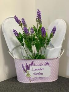 Къщата на Анхел