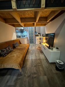 Maisons de vacances La Tiny : Adorable petit studio /parking gratuit. : photos des chambres