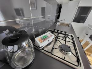 Studio Apartman Ana