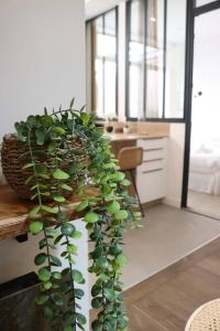 Cosy 2 chambres Père-Lachaise