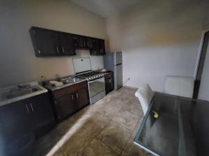 Departamentos velasco Planta baja