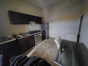 Departamentos velasco Planta baja