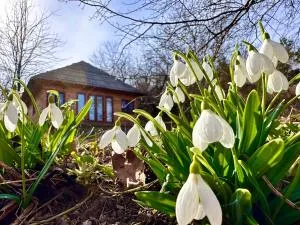 Козацька Фортеця - Stepanki