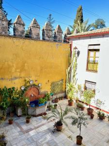 El Patio de Wallada