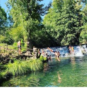 El Rincón de la Mimosa