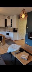 Loma-asunto Tahkon Alppitalossa