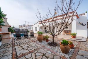 Belle Maison Roses, Mas Boscà 12 by Welhomy