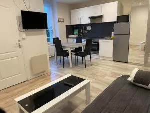 Appart meublé 45m2 calme et lumineux au Continental - 孔特雷克塞维尔