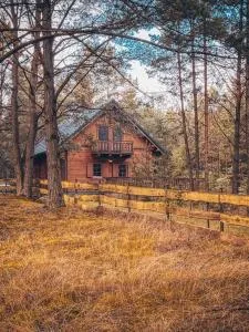 DOM w BORACH - Żalno