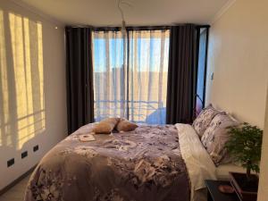 Departamento piso 17 Concepción