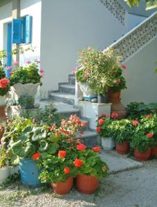 Guesthouse Karidia Lesvos Greece