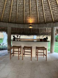 Oasis en Yautepec, alberca, jacuzzi y naturaleza