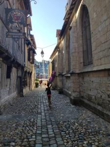 Appartements Les Coquelicots : photos des chambres