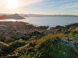 Maisons de vacances Ty Porzh : photos des chambres