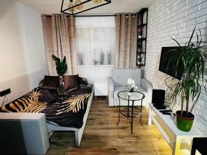 Kameralna kawalerka w stylu loftu blisko centrum