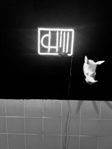 Apto Rústico,Estilo y Encanto.