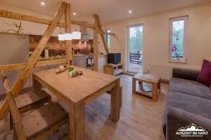 Auszeit-im-Harz Haus 2 Wohnung 1 - 德里安南霍恩