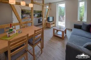Auszeit-im-Harz Haus 2 Wohnung 3 - 德里安南霍恩