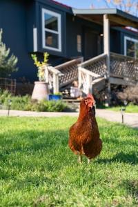 A Special Retreat on a Mini-Farm -- in SMTX