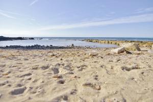 Apartments for families with children Savudrija, Umag - 22559 