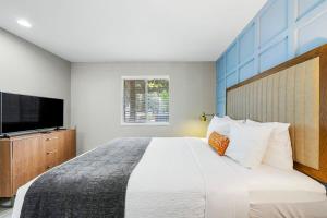 Modern Urban Oasis in Prime Buckhead Atlanta