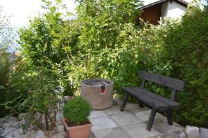 Elfe-Apartments Two-room Apartment with Garden, 2-4 guests