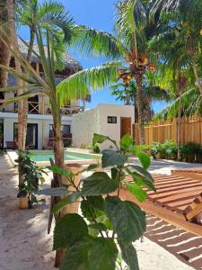 Casa Baloo