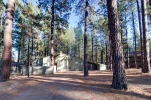 Forest Haven - McKenzie Bridge