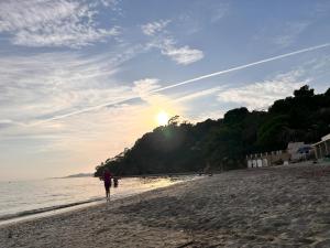 Villas La Mandarine : photos des chambres