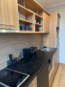 Riga Rooftop Boutique Apartment