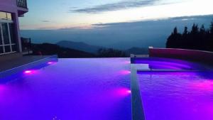 Apartman N Lux 100 Milmari resort