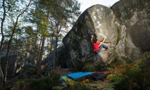 Appartements Le jardin des Hautes Presles Dame Jouanne City : Appartement