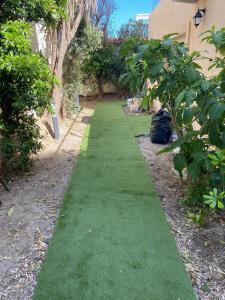 Villa Del Mar Bord de mer Palm Beach Cannes