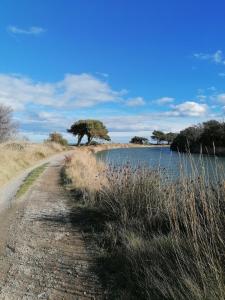 Chalets Entre Mer et Roseaux - Piscine - Proche centre et mer - Petfriendly : photos des chambres